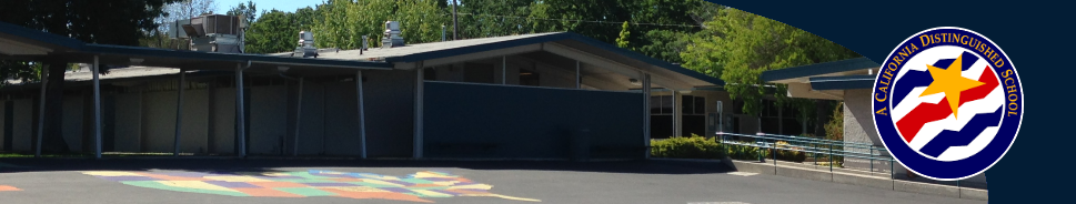 The Rescue Elementary School site